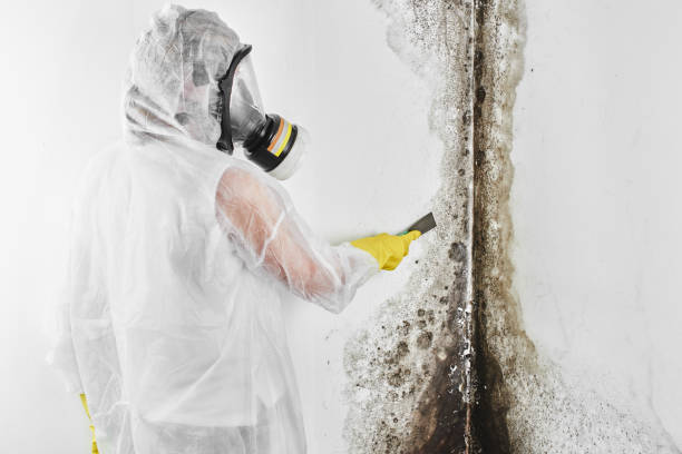 Best Certified Mold Removal  in Riverside, MO