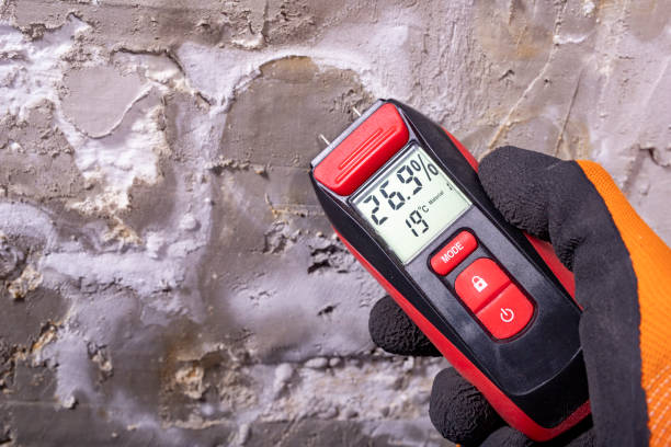 Best Local Mold Removal Service  in Riverside, MO