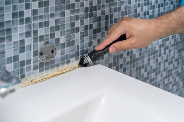 Best Affordable Mold Removal  in Riverside, MO