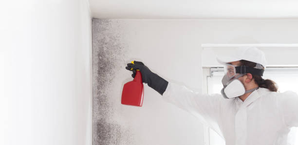 Best Commercial Mold Removal  in Riverside, MO