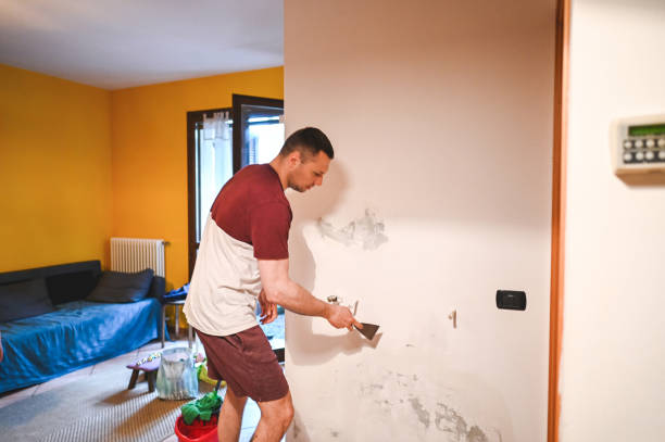 Best Water Damage Restoration  in Riverside, MO