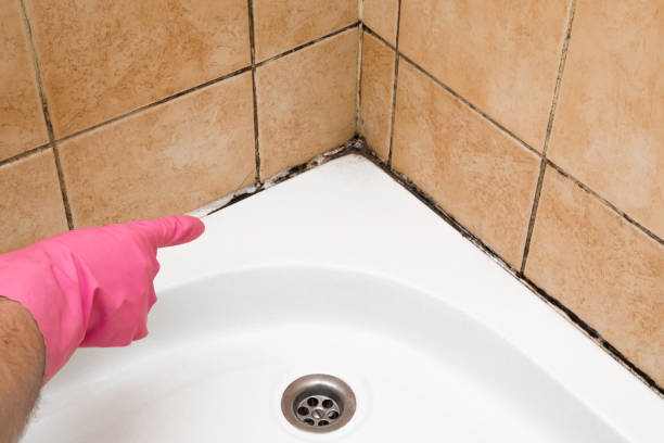 Best Emergency Mold Removal  in Riverside, MO